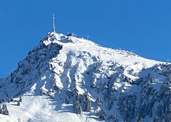 Apartamento Luxus Almhütte *