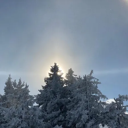 Luxus Almhuette Apartman *